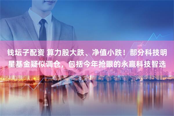 钱坛子配资 算力股大跌、净值小跌！部分科技明星基金疑似调仓，包括今年抢眼的永赢科技智选
