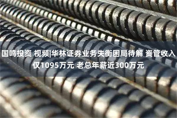 国鸣投资 视频|华林证券业务失衡困局待解 资管收入仅1095万元 老总年薪近300万元